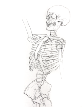 skeletonDrawing